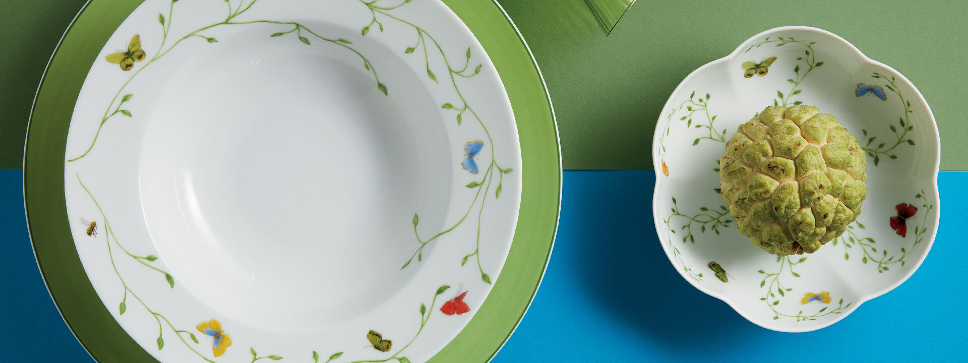 Histoire Naturelle Collection | Raynaud Ercuis US Shop